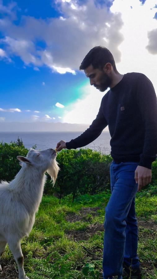 Quinta Do Caminho Da Igreja Ter-Casas De Campo Velas Εξωτερικό φωτογραφία
